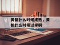 黄桃什么时候成熟，黄桃什么时候过季啊