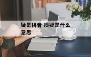 疑是拼音 质疑是什么意思