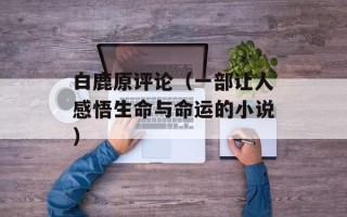 白鹿原评论（一部让人感悟生命与命运的小说）
