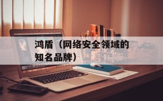 鸿盾（网络安全领域的知名品牌）