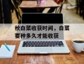 秋白菜收获时间，白菜要种多久才能收获