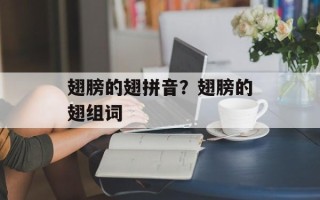 翅膀的翅拼音？翅膀的翅组词