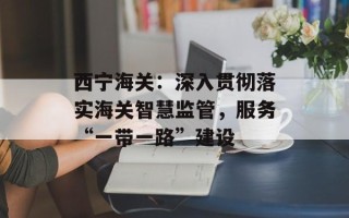 西宁海关：深入贯彻落实海关智慧监管，服务“一带一路”建设
