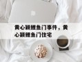 黄心颖鲤鱼门事件，黄心颖鲤鱼门住宅
