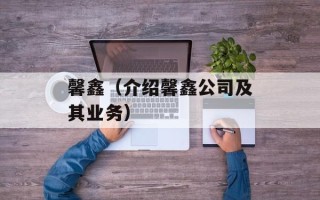 馨鑫（介绍馨鑫公司及其业务）