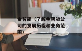 金智能（了解金智能公司的发展历程和业务范围）