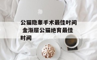 公猫隐睾手术最佳时间 金渐层公猫绝育最佳时间