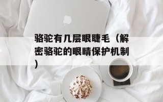 骆驼有几层眼睫毛（解密骆驼的眼睛保护机制）