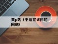 黄p站（不适宜访问的网站）