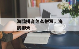 海鸥拼音怎么拼写，海鸥聊天