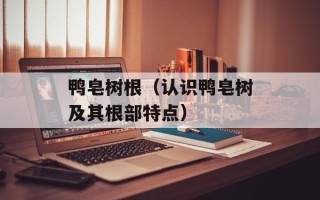 鸭皂树根（认识鸭皂树及其根部特点）