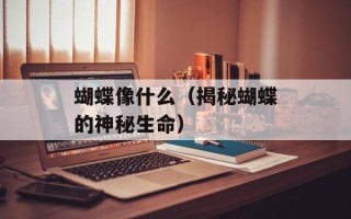 蝴蝶像什么（揭秘蝴蝶的神秘生命）