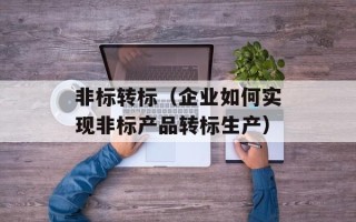 非标转标（企业如何实现非标产品转标生产）