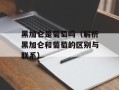 黑加仑是葡萄吗（解析黑加仑和葡萄的区别与联系）
