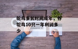 鸵鸟多长时间成年，养鸵鸟10只一年利润多少