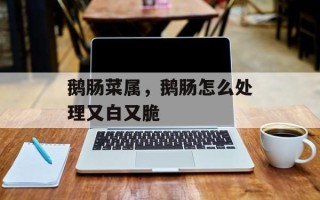 鹅肠菜属，鹅肠怎么处理又白又脆