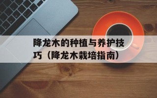 降龙木的种植与养护技巧（降龙木栽培指南）