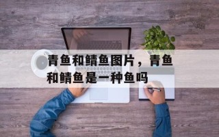 青鱼和鲭鱼图片，青鱼和鲭鱼是一种鱼吗