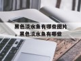 黑色淡水鱼有哪些图片，黑色淡水鱼有哪些