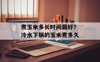 煮玉米多长时间最好？冷水下锅的玉米煮多久