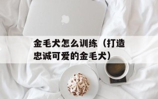 金毛犬怎么训练（打造忠诚可爱的金毛犬）