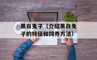 黑白兔子（介绍黑白兔子的特征和饲养方法）