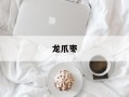 龙爪枣
