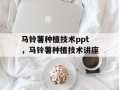 马铃薯种植技术ppt，马铃薯种植技术讲座