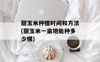 甜玉米种植时间和 *** (甜玉米一亩地能种多少棵)