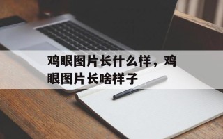 鸡眼图片长什么样，鸡眼图片长啥样子