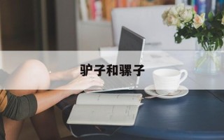 驴子和骡子