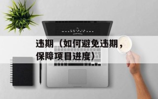 违期（如何避免违期，保障项目进度）