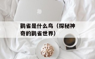 鹳雀是什么鸟（探秘神奇的鹳雀世界）