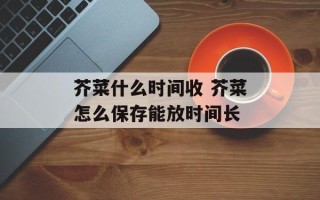 芥菜什么时间收 芥菜怎么保存能放时间长