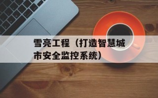 雪亮工程（打造智慧城市安全监控系统）