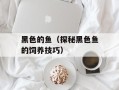 黑色的鱼（探秘黑色鱼的饲养技巧）