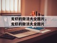 龙虾的做法大全图片，龙虾的做法大全图片