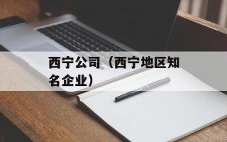 西宁公司（西宁地区知名企业）