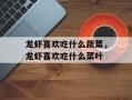 龙虾喜欢吃什么蔬菜，龙虾喜欢吃什么菜叶