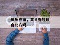 黄鱼养殖，黄鱼养殖适合北方吗