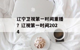 辽宁卫视第一时间重播？辽视第一时间2024