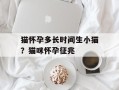 猫怀孕多长时间生小猫？猫咪怀孕征兆