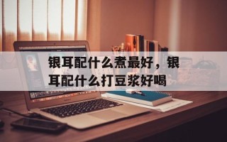 银耳配什么煮最好，银耳配什么打豆浆好喝