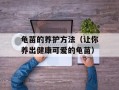 龟苗的养护方法（让你养出健康可爱的龟苗）