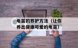 龟苗的养护方法（让你养出健康可爱的龟苗）