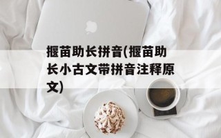 揠苗助长拼音(揠苗助长小古文带拼音注释原文)