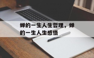 蝉的一生人生哲理，蝉的一生人生感悟