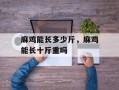 麻鸡能长多少斤，麻鸡能长十斤重吗
