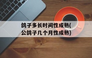 鸽子多长时间性成熟(公鸽子几个月性成熟)