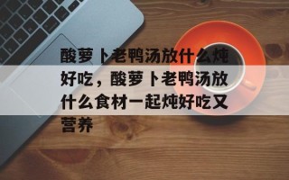 酸萝卜老鸭汤放什么炖好吃，酸萝卜老鸭汤放什么食材一起炖好吃又营养